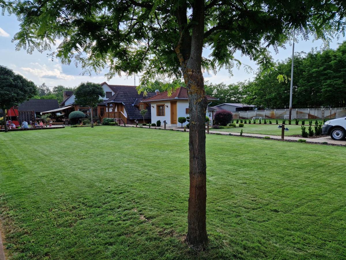 Csalanosi Vendeghaz Hotel Kecskemét Exterior photo